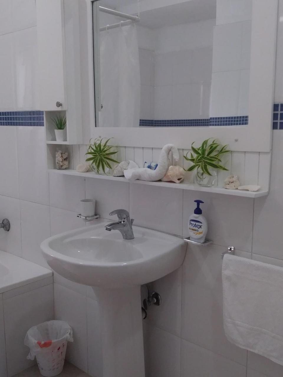 Habitacion En Sol Dominicus Solo Adultos バヤイベ エクステリア 写真